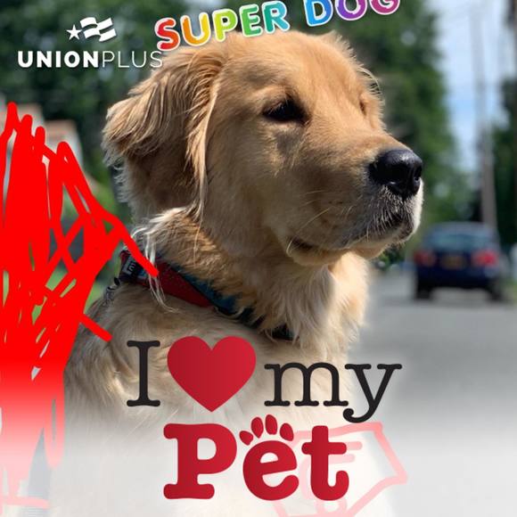 Meet your Posher, Billy - Picture 1 of 1